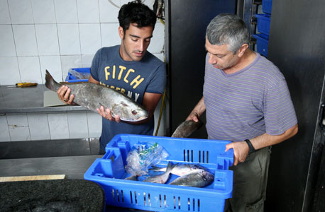 השפים בוחרים: חנויות הדגים הטובות בישראל 
