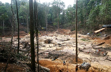 ארה&quot;ב מוותרת לפרו על חוב של 25 מיליון דולר בתמורה לשמירה על היערות