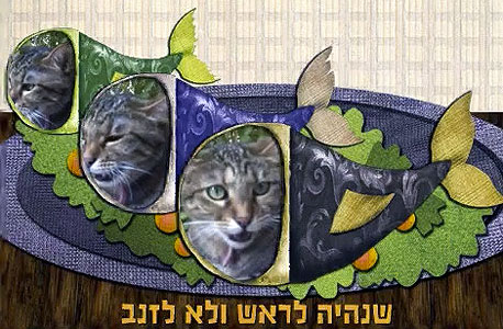 אפליקציית Shana Tova אפליקציית Shana Tova