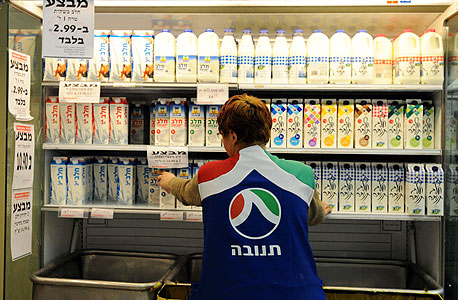 מוצרי חלב. יוזלו?, צילום: דורון גולן