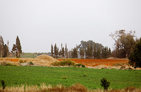 קרקע חקלאית (ארכיון), צילום: נמרוד גליקמן