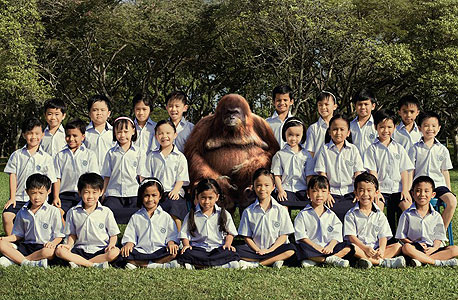 קמפיין עולמי: מורה קוף - מורה לחיים 