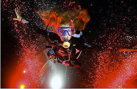 צלילה בים האדום צלילה בים האדום