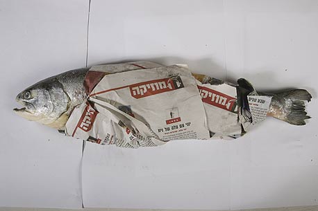 דג עטוף בעיתון מודפס