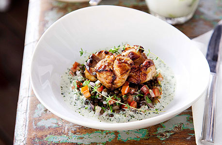 Salt, ת"א. הדיל: מי שמזמין ממבחר המאזטים מקבל קנקן קוקטייל בחינם