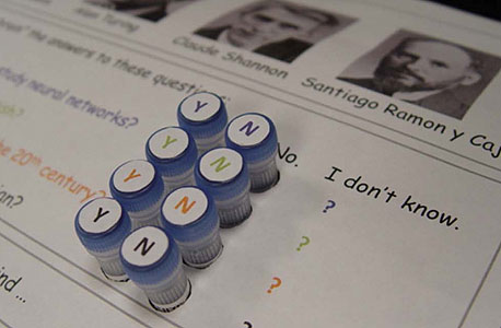 כך עובד המחשב הביולוגי: 1. ברוק ועמיתיו "לימדו" סליל דנ"א כפול לזהות ארבעה מדענים לפ ארבעה מאפיינים ש כל אחד; 2. החוקרים הציגו לסליל הכפול שאלות, וזרקו לו רמזים בצורת שרשראות דנ"א לא כפולות; 3. שרשראות הרמז שחררו אחת משתי השרשראות של הסליל, או את שתיהן. השרשרת השיבה באמצעות אור צבעוני, שייצג את התשובה הנכונה כך עובד המחשב הביולוגי: 1. ברוק ועמיתיו "לימדו" סליל דנ"א כפול לזהות ארבעה מדענים לפ ארבעה מאפיינים ש כל אחד; 2. החוקרים הציגו לסליל הכפול שאלות, וזרקו לו רמזים בצורת שרשראות דנ"א לא כפולות; 3. שרשראות הרמז שחררו אחת משתי השרשראות של הסליל, או את שתיהן. השרשרת השיבה באמצעות אור צבעוני, שייצג את התשובה הנכונה