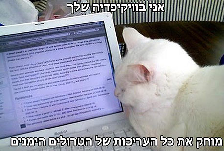 לתשומת לבכם (באדיבות אלי לוין)