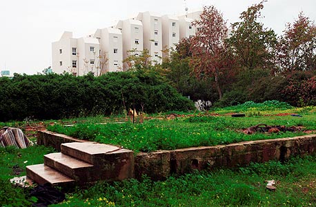 נווה שרת, ת"א