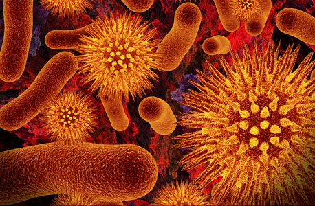 איך החיידקים שולטים בנו