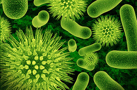 חיידקים (אילוסטרציה), צילום: שאטרסטוק
