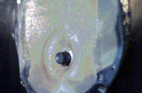 אריג חסין כדורים שמופק מחלב של עזים מהונדסות, צילום: איי פי 