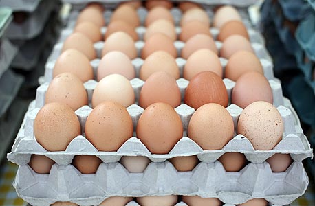 תריסר ביצים בגודל ענק יוזלו ב-40 אגורות