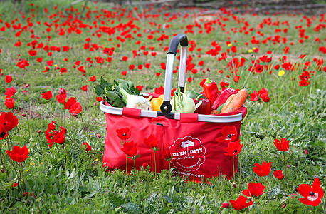 סלי פיקניק של משקי האזור