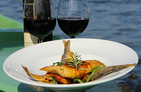 מסעדת דגים בעין גב