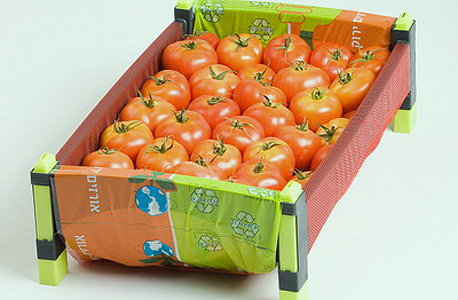 מחירי העגבניות עולים