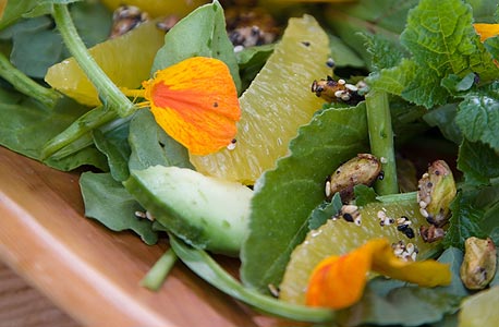 סלט עשבי בר, פירות ופרחים סלט עשבי בר, פירות ופרחים