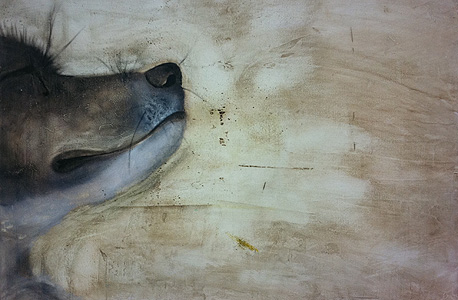 עבודה של איילת קורן