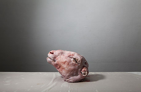 עבודה של מיכל טוביאס