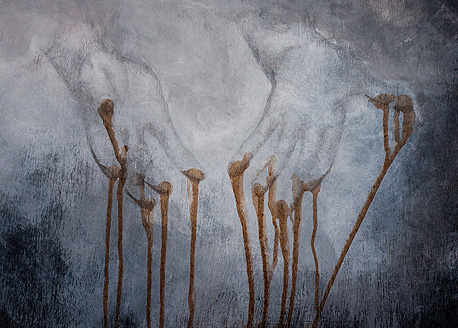 עבודה של שקד שמיר