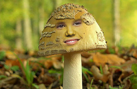 ג'סטין ביבר לוקח חלק בהצלחה של כתבת הפטריות ג'סטין ביבר לוקח חלק בהצלחה של כתבת הפטריות