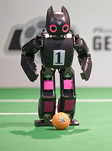 התחבר לתחום הרובוטים, צילום: אי פי אי