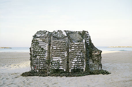 "ללא כותרת", צילום של עדי ברנדה "ללא כותרת", צילום של עדי ברנדה