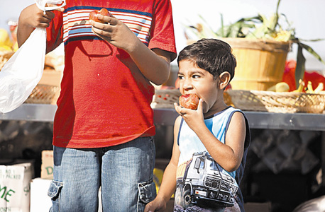  "The Apple Pushers". פירות בשכונה