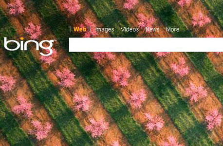 בינג של מיקרוסופט, צילום מסך: Bing