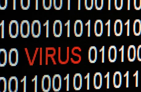 Computer virus (illustration). Photo: Shutterstock