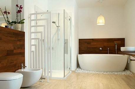 חדר אמבטיה (אילוסטרציה), צילום: shutterstock