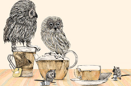 איור מתוך יומני מסע של גבריאלה ברוך איור מתוך יומני מסע של גבריאלה ברוך