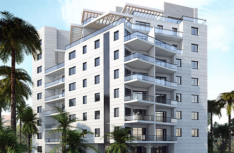 הדמיית הפרויקט