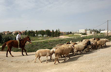 התנחלות בית חגי בדרום הר חברון: 10,620 שקל לתושב, צילום: עמית שאבי