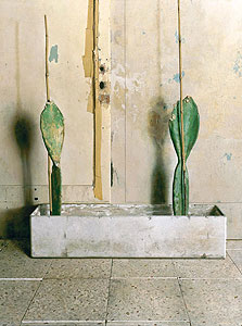 "צברים", 2011-2010, שמן על עץ, 165x150 ס"מ, אוסף מוזיאון תל אביב, עבודה של ערן רשף