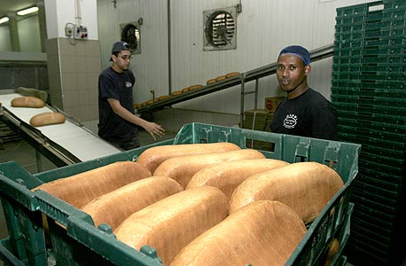 לחם אחיד , צילום: שאול גולן