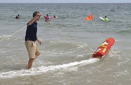 אמילי בפעולה