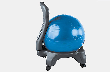 כיסא פיטבול