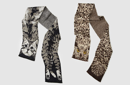 צעיף ינשוף וחתול