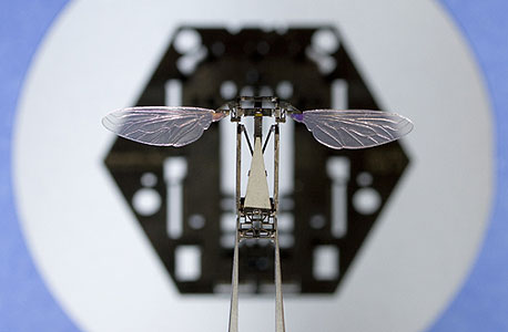 הדבורה הרובוטית שמורכבת בתוך עשירית שנייה במנגנון "פופ אפ" ממשטח אחד. יכולה לשמש לריגול, חילוץ והצלה