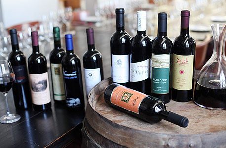 מימין: יינות של דאדה, כרמי עובדת, אבשלום, שושנה, שריגים (שוכב), מילס, נעמן, 3 גפנים, גוסטבו וג'ו הים האדום 