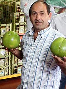 רמי לוי. חושים מחודדים רמי לוי. חושים מחודדים