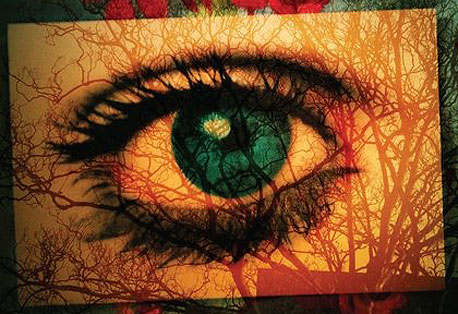 "Every Day is Like The First Day", מלכה שפיגל "Every Day is Like The First Day", מלכה שפיגל