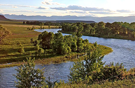 החווה במונטנה
