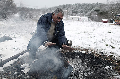 בגלל העוני: היוונים כורתים את היערות כדי להתחמם