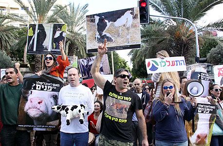 הפגנה נגד חברת תנובה בשר אדום אדום, צילום: דנה קופל