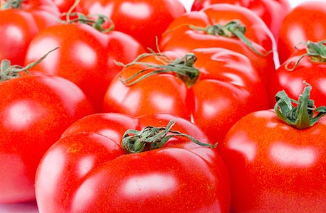 בעקבות הזינוק במחירים: יוגדל יבוא העגבניות מירדן