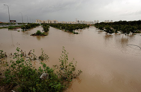 הצפה בשטח חקלאי ליד כפר נטר, חורף 2013
