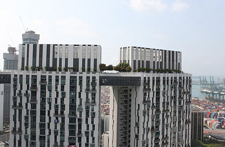 דיור בר השגה סינגפור מגדלים מגדל 