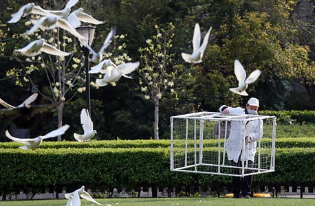 עובד בריאות סיני שם מלכודת יונים בפארק בשנגחאי