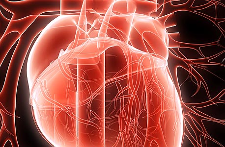 דיאקרדיו קיבלה אישור FDA למערכת לאבחון לב